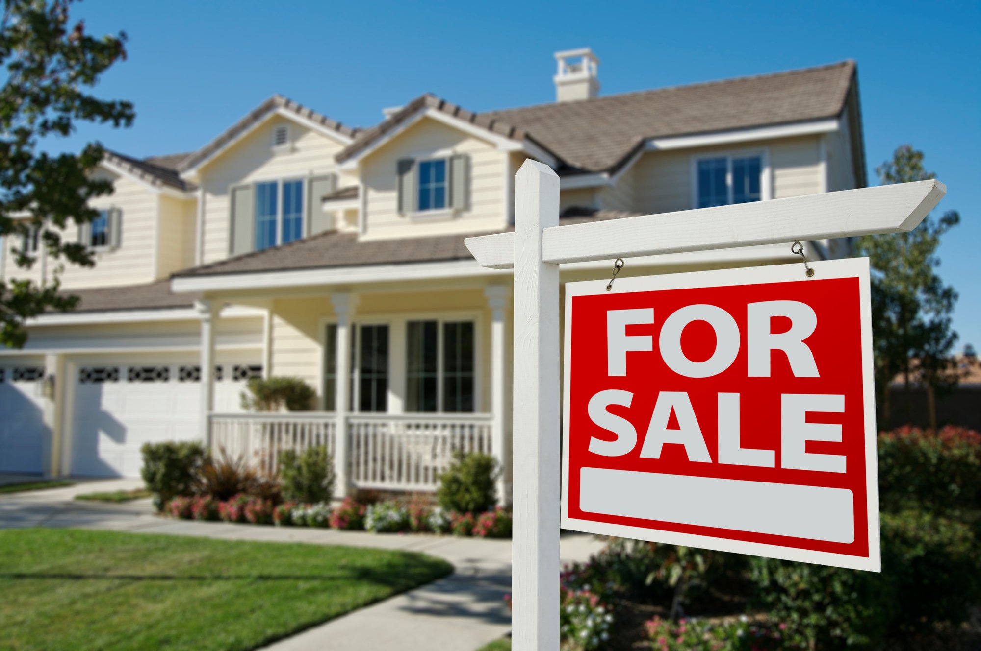 your-local-virginia-realtor-5